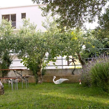 Pepi Apartments 1 Zadar Exterior photo